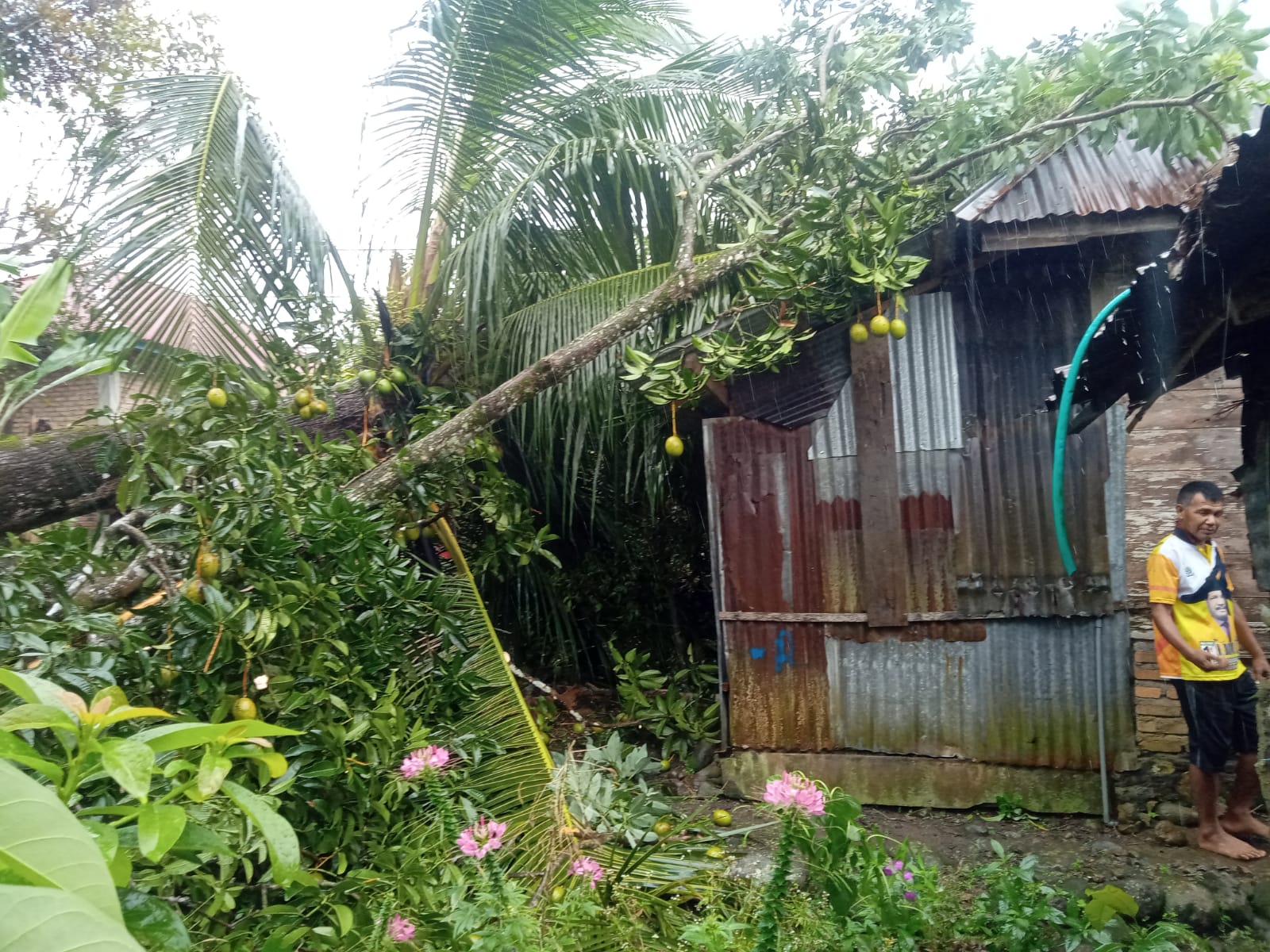 Empat Rumah Rusak Diterpa Angin Kencang di Talamau, Pasaman Barat 9 IMG 20251024 WA0043