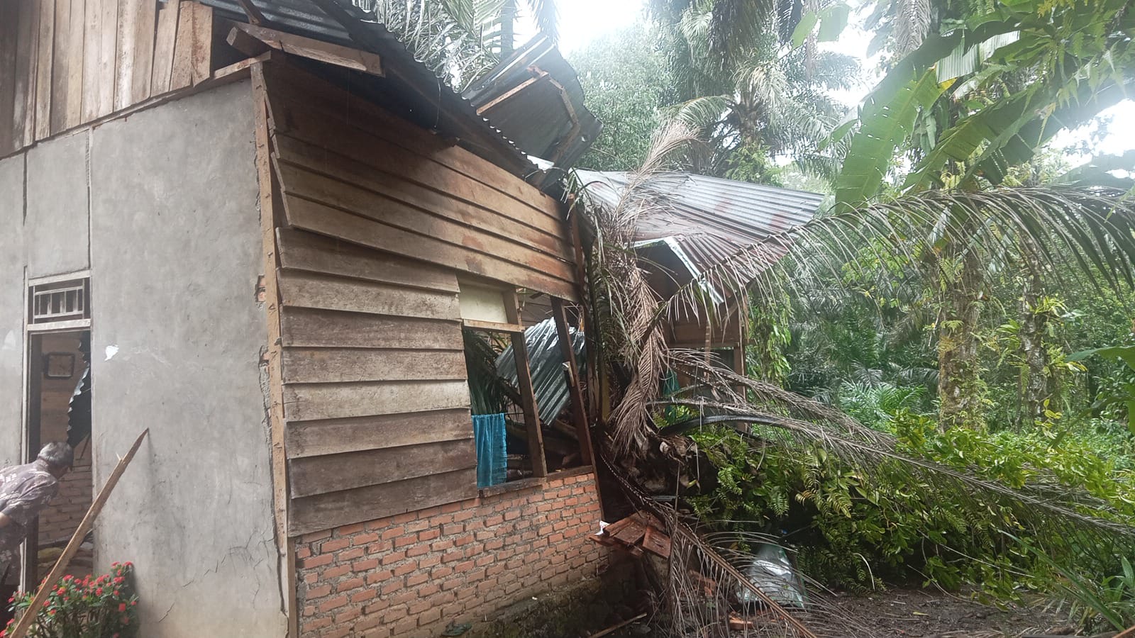 Empat Rumah Rusak Diterpa Angin Kencang di Talamau, Pasaman Barat 8 Empat Rumah Rusak Diterpa Angin Kencang di Talamau, Pasaman Barat
