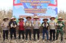 Ketua Dewan Perwakilan Rakyat Daerah (DPRD) Kabupaten Pasaman Barat, Dirwansyah, S.H., bersama Forkopimda menghadiri Panen Raya Jagung Serentak Kuartal II yang dipusatkan di Jorong Bandarajo, Nagari Lingkuang Aua Bandarajo, Kecamatan Pasaman, Sabtu (16/05/2026).