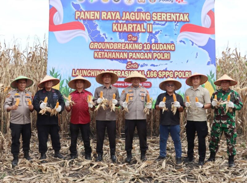 Ketua Dewan Perwakilan Rakyat Daerah (DPRD) Kabupaten Pasaman Barat, Dirwansyah, S.H., bersama Forkopimda menghadiri Panen Raya Jagung Serentak Kuartal II yang dipusatkan di Jorong Bandarajo, Nagari Lingkuang Aua Bandarajo, Kecamatan Pasaman, Sabtu (16/05/2026).