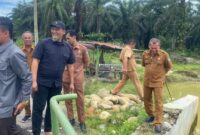 Ketua Dewan Perwakilan Rakyat Daerah (DPRD) Kabupaten Pasaman Barat, Dirwansyah dan Wakil Bupati Pasaman Barat M Ihpan serta Pelaksana tugas Dinas Pekerjaan Umum Penataan Ruang Bambang Sumarsono saat meninjau jembatan menuju Sikabau Koto Balingka, Senin (06/04/2026)