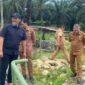 Ketua Dewan Perwakilan Rakyat Daerah (DPRD) Kabupaten Pasaman Barat, Dirwansyah dan Wakil Bupati Pasaman Barat M Ihpan serta Pelaksana tugas Dinas Pekerjaan Umum Penataan Ruang Bambang Sumarsono saat meninjau jembatan menuju Sikabau Koto Balingka, Senin (06/04/2026)