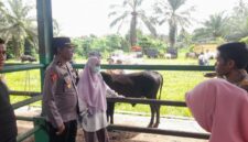 Kabag Ops Kompol Fahrel Haris, saat memimpin peninjauan lapangan di Pasar Ternak Simpang Tiga Ophir, Kecamatan Luhak Nan Duo, Jumat (22/05/2026).